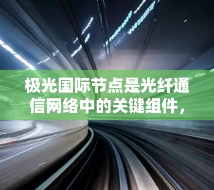 极光国际节点是光纤通信网络中的关键组件,用于高效、稳定地传输数据。以下是对极光国际节点的详细分析