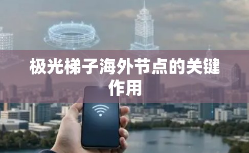 极光梯子海外节点的关键作用