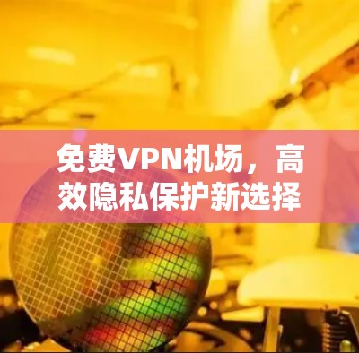 免费VPN机场，高效隐私保护新选择