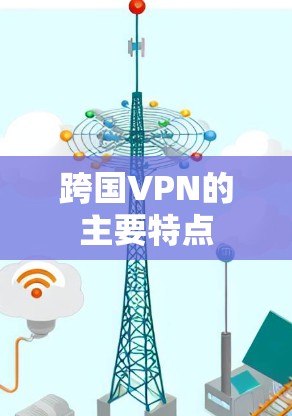 跨国VPN的主要特点 跨国VPN的主要特点