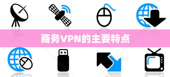 商务VPN的主要特点 商务VPN的主要特点