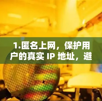 1.匿名上网,保护用户的真实 IP 地址,避免被跟踪 1.匿名上网,保护用户的真实 IP 地址,避免被跟踪