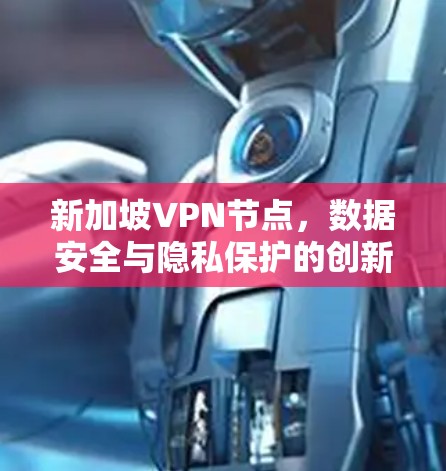 新加坡VPN节点,数据安全与隐私保护的创新方案 新加坡VPN节点,数据安全与隐私保护的创新方案