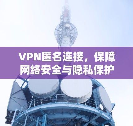 VPN匿名连接,保障网络安全与隐私保护
