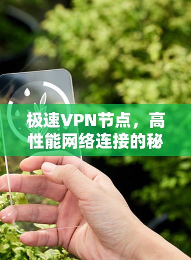 极速VPN节点,高性能网络连接的秘密