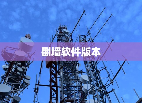 翻墙软件版本