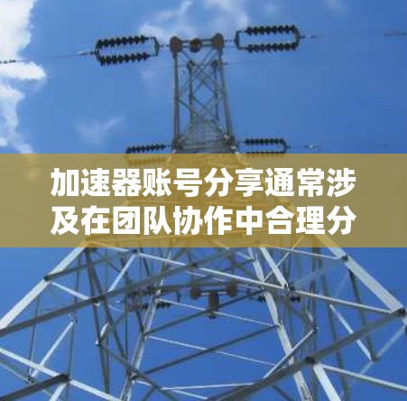 加速器账号分享通常涉及在团队协作中合理分配和管理账号权限,以确保项目顺利进行同时保护数据安全。以下是一些关键点和建议