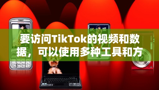 要访问TikTok的视频和数据,可以使用多种工具和方法。以下是一些常用的工具和方法,供你参考