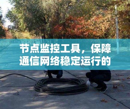 节点监控工具，保障通信网络稳定运行的关键技术