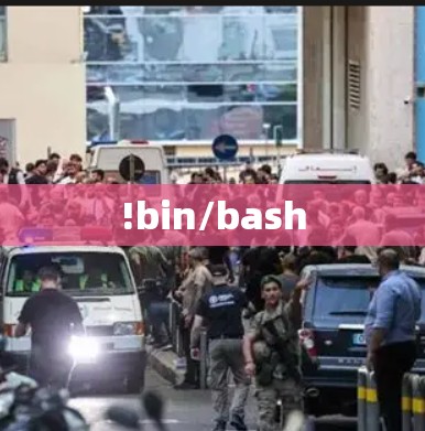 !bin/bash