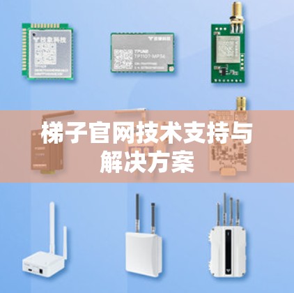 梯子官网技术支持与解决方案