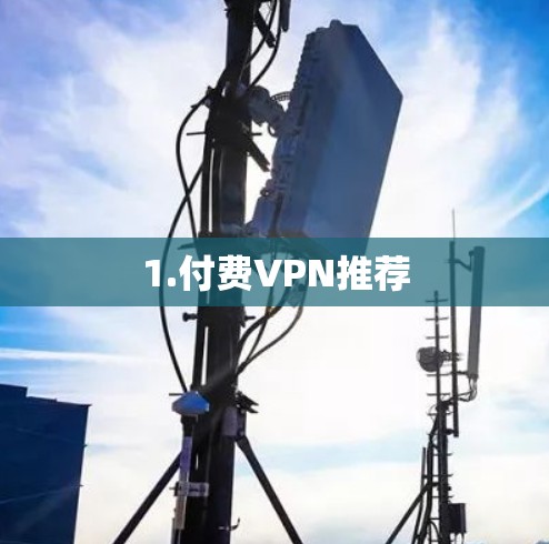 1.付费VPN推荐 1.付费VPN推荐