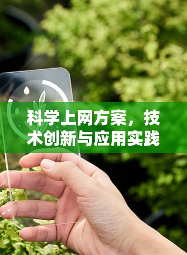 科学上网方案，技术创新与应用实践
