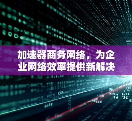 加速器商务网络,为企业网络效率提供新解决方案 加速器商务网络,为企业网络效率提供新解决方案
