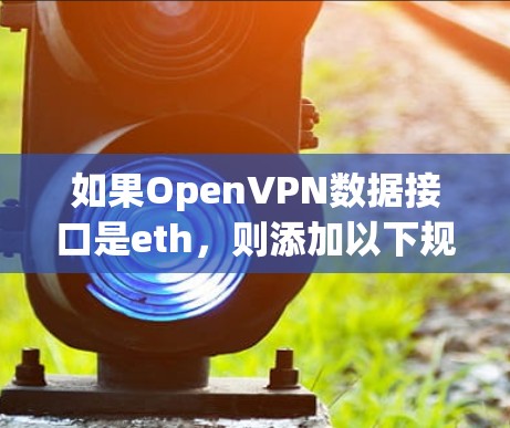 如果OpenVPN数据接口是eth,则添加以下规则 如果OpenVPN数据接口是eth,则添加以下规则