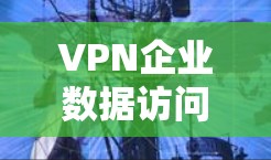 VPN企业数据访问监控是企业保护数据安全和合规的重要措施。以下是对该过程的详细分析和总结 VPN企业数据访问监控是企业保护数据安全和合规的重要措施。以下是对该过程的详细分析和总结