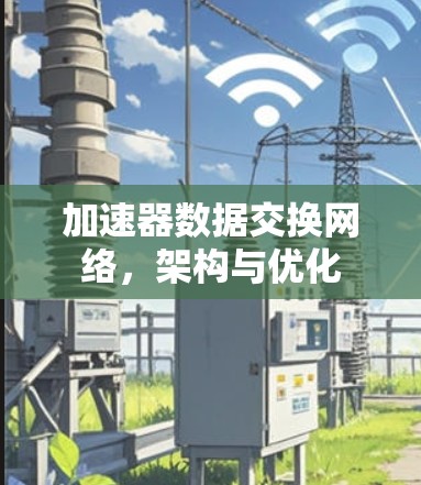 加速器数据交换网络，架构与优化