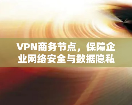 VPN商务节点,保障企业网络安全与数据隐私 VPN商务节点,保障企业网络安全与数据隐私
