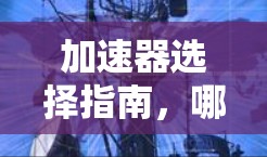 加速器选择指南，哪种加速器最适合您的需求？