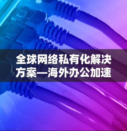 全球网络私有化解决方案—海外办公加速器