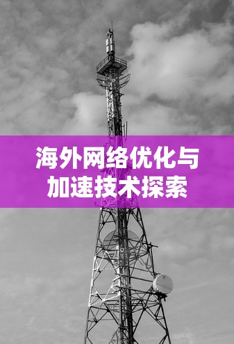 海外网络优化与加速技术探索