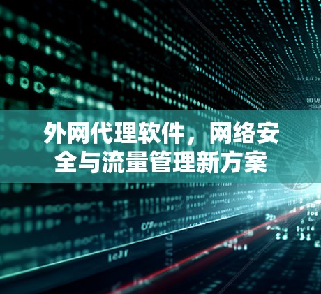 外网代理软件，网络安全与流量管理新方案