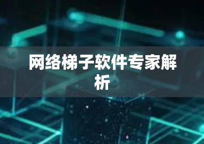 网络梯子软件专家解析