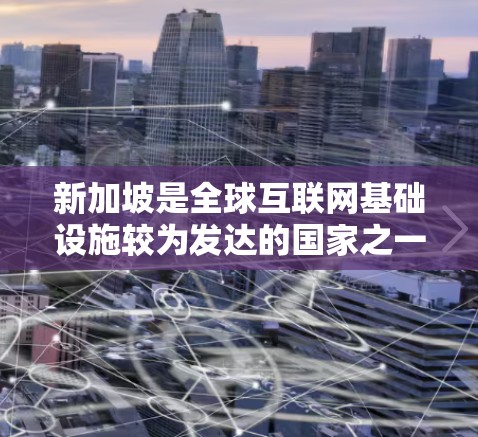 新加坡是全球互联网基础设施较为发达的国家之一，拥有先进的网络连接和稳定的政治环境。购买新加坡的节点（即在新加坡建立互联网接入点）可能有多种用途，以下是一些常见的用途和相关信息