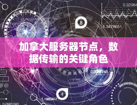 加拿大服务器节点,数据传输的关键角色 加拿大服务器节点,数据传输的关键角色