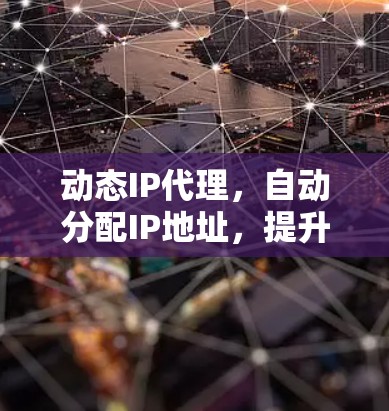 动态IP代理，自动分配IP地址，提升网络资源利用率