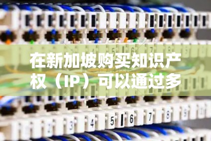 在新加坡购买知识产权（IP）可以通过多种方式进行，以下是一些常见的途径和相关信息
