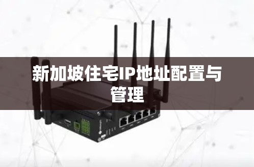 新加坡住宅IP地址配置与管理 新加坡住宅IP地址配置与管理