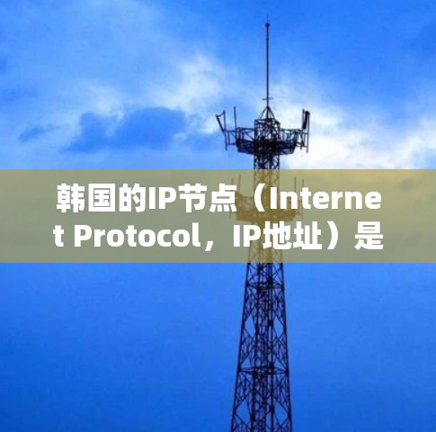 韩国的IP节点(Internet Protocol,IP地址)是互联网中唯一的网络标识符,每个IP地址都唯一地标识一个网络接口,连接到一个网络中的设备,如路由器、服务器或其他网络设备 韩国的IP节点(Internet Protocol,IP地址)是互联网中唯一的网络标识符,每个IP地址都唯一地标识一个网络接口,连接到一个网络中的设备,如路由器、服务器或其他网络设备