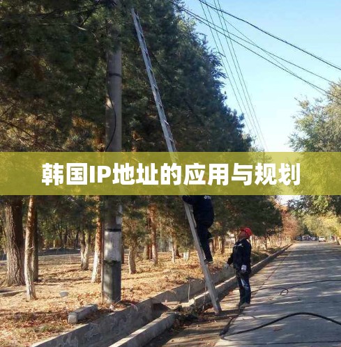 韩国IP地址的应用与规划