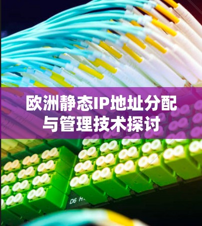 欧洲静态IP地址分配与管理技术探讨