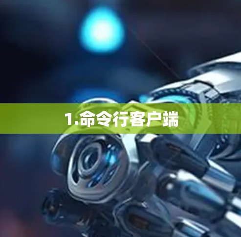 1.命令行客户端 1.命令行客户端