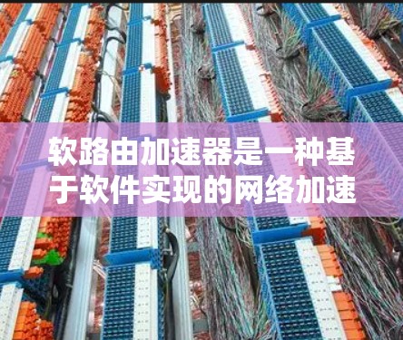 软路由加速器是一种基于软件实现的网络加速技术，主要用于云计算和网络虚拟化环境，提供灵活、高效的路由功能。以下是对该技术的详细分析