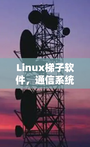 Linux梯子软件，通信系统的高效管理新工具