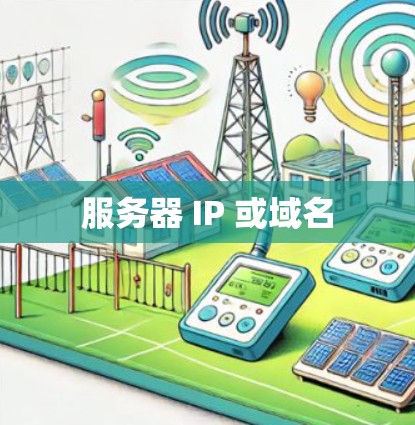 服务器 IP 或域名