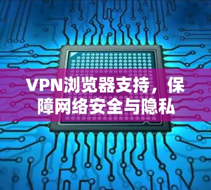 VPN浏览器支持，保障网络安全与隐私