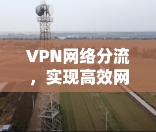 VPN网络分流，实现高效网络管理的关键技术