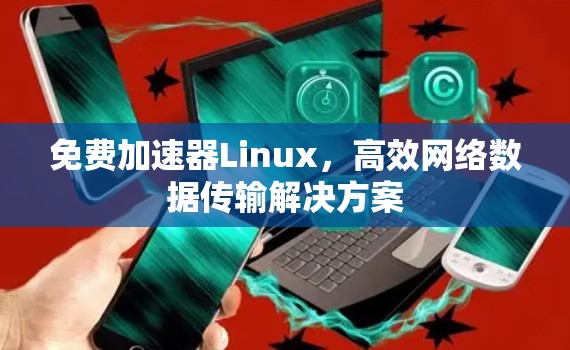 免费加速器Linux,高效网络数据传输解决方案 免费加速器Linux,高效网络数据传输解决方案