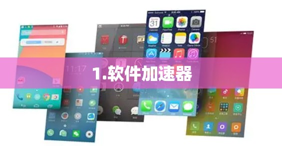1.软件加速器 1.软件加速器