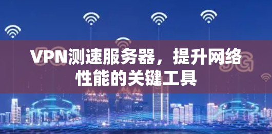 VPN测速服务器，提升网络性能的关键工具