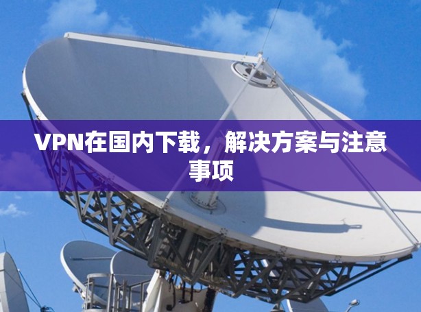 VPN在国内下载,解决方案与注意事项 VPN在国内下载,解决方案与注意事项