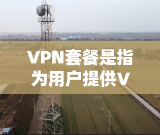 VPN套餐是指为用户提供VPN服务的订阅计划，通常包括以下内容