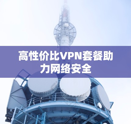 高性价比VPN套餐助力网络安全 高性价比VPN套餐助力网络安全
