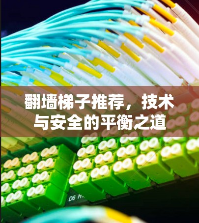 翻墙梯子推荐,技术与安全的平衡之道 翻墙梯子推荐,技术与安全的平衡之道