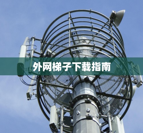 外网梯子下载指南 外网梯子下载指南