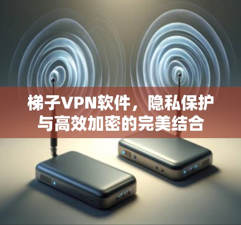 梯子VPN软件，隐私保护与高效加密的完美结合